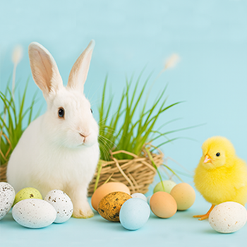 Arrangement_Osterauszeit-klein